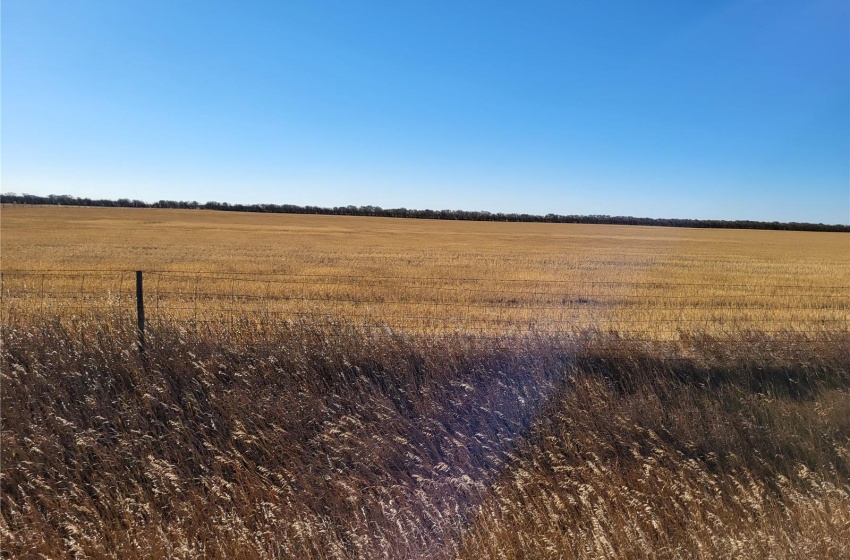 Rural Address, Perdue Rm No. 346, Saskatchewan S0K 3G0, ,Farm,For Sale,Kinley 1,031 acres Grain Farmland,Rural Address,SK989132