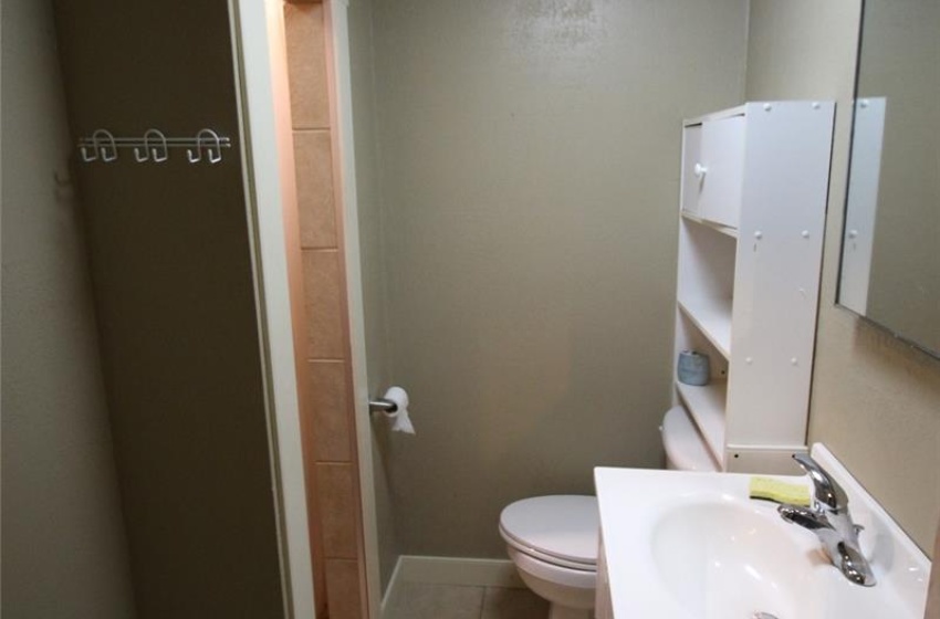 Lower Level Bathroom