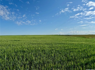 Rural Address, Auvergne Rm No. 76, Saskatchewan S0N 0C0, ,Farm,For Sale,Aneroid 598 Acres Grain Farmland,Rural Address,SK990287