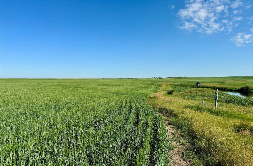 Rural Address, Auvergne Rm No. 76, Saskatchewan S0N 0C0, ,Farm,For Sale,Aneroid 598 Acres Grain Farmland,Rural Address,SK990287