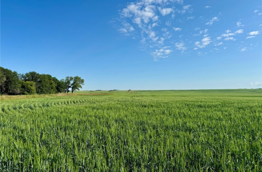 Rural Address, Auvergne Rm No. 76, Saskatchewan S0N 0C0, ,Farm,For Sale,Aneroid 598 Acres Grain Farmland,Rural Address,SK990287