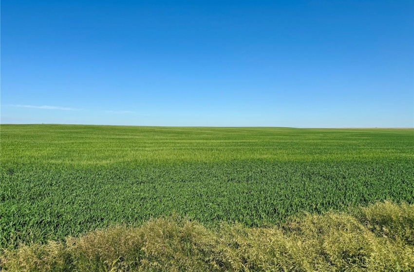 Rural Address, Auvergne Rm No. 76, Saskatchewan S0N 0C0, ,Farm,For Sale,Aneroid 598 Acres Grain Farmland,Rural Address,SK990287