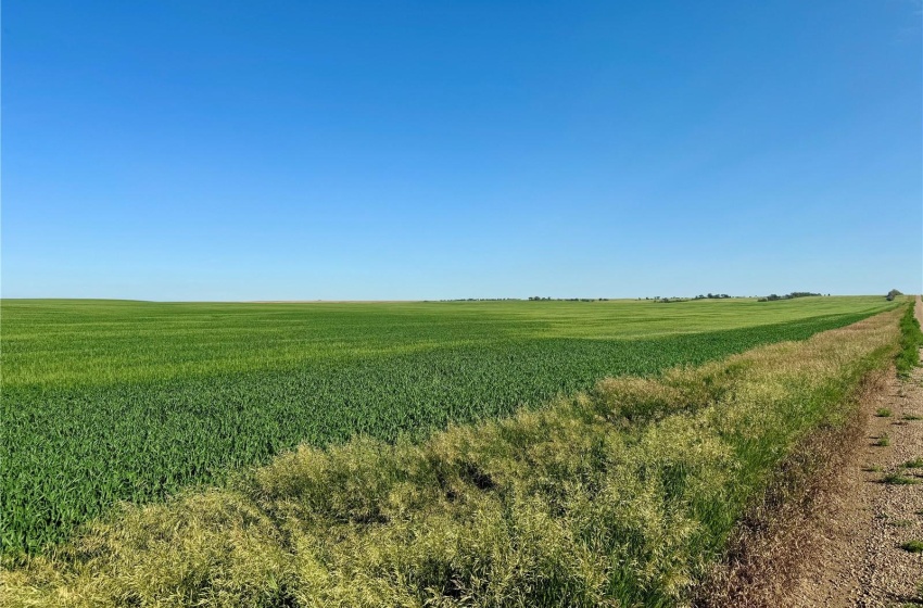 Rural Address, Auvergne Rm No. 76, Saskatchewan S0N 0C0, ,Farm,For Sale,Aneroid 598 Acres Grain Farmland,Rural Address,SK990287