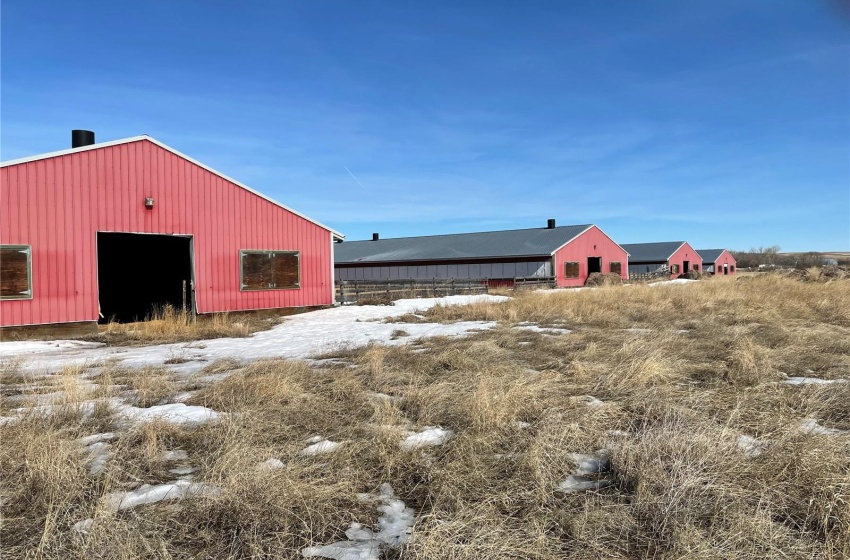 Rural Address, Excelsior Rm No. 166, Saskatchewan S0H 4J0, ,Farm,For Sale,PIG-BARN,Rural Address,SK990614