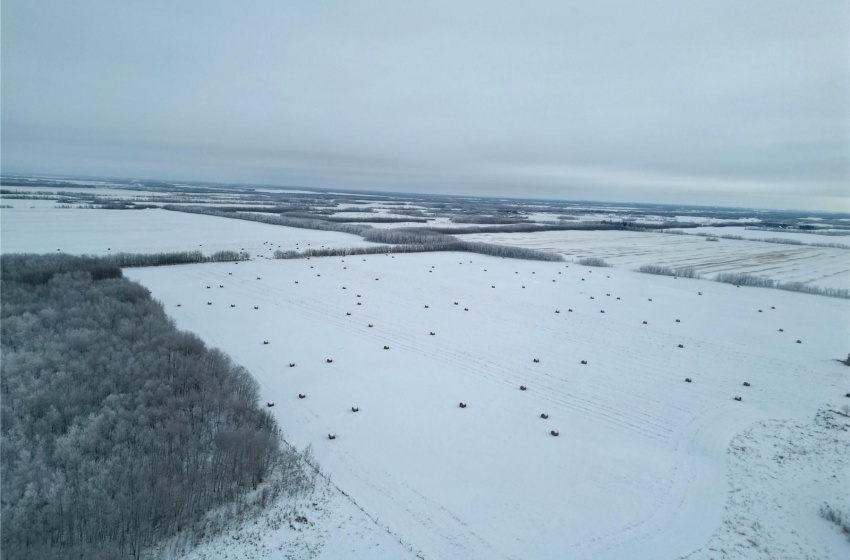 Rural Address, Round Hill Rm No. 467, Saskatchewan S0M 1W0, ,Farm,For Sale,McNabb Land,Rural Address,SK990831