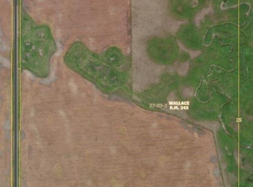 Rural Address, Wallace Rm No. 243, Saskatchewan S0A 3K0, ,Farm,For Sale,RM of Wallace Farm,Rural Address,SK990835