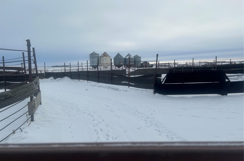 View of yard covered in snow