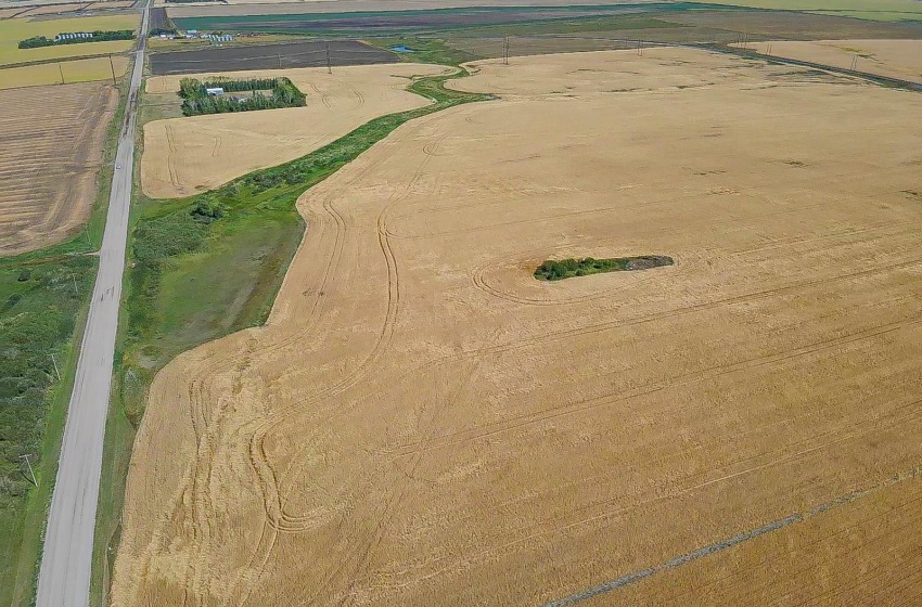 On SW boundary looking North.