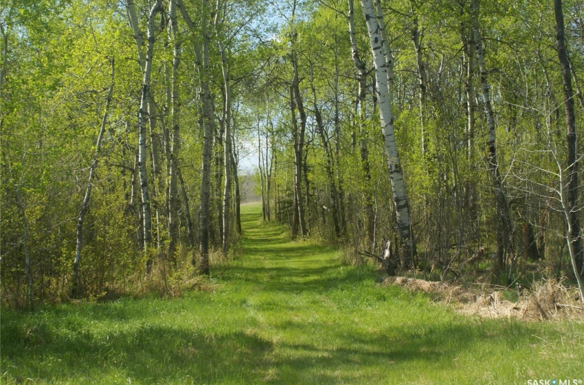 View of landscape