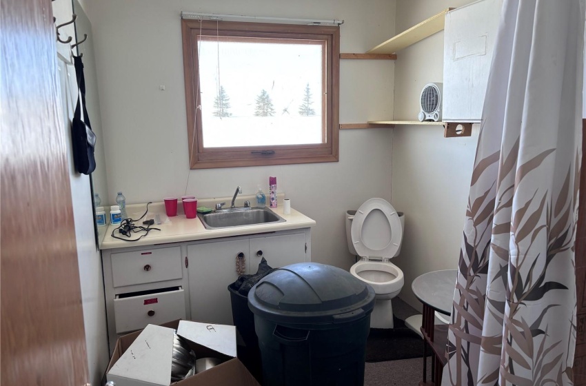 Bathroom featuring toilet and vanity, shower is to the right