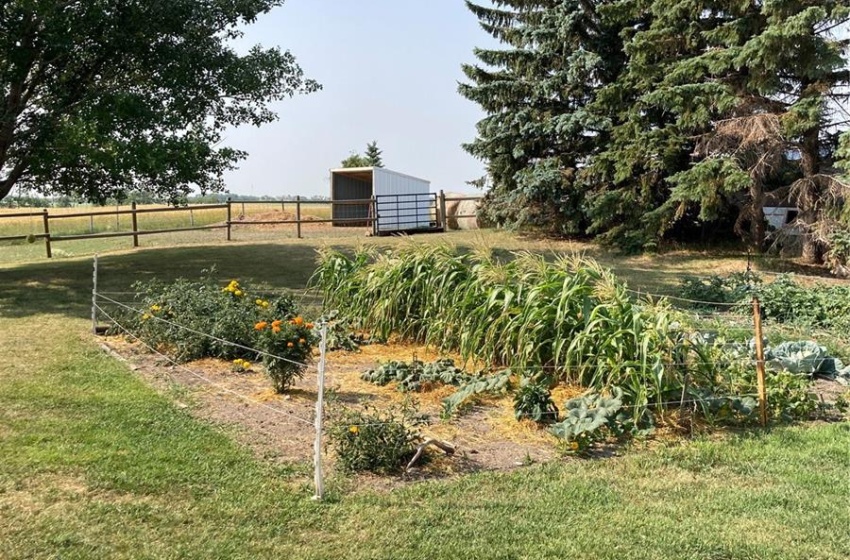 View of yard featuring a rural view