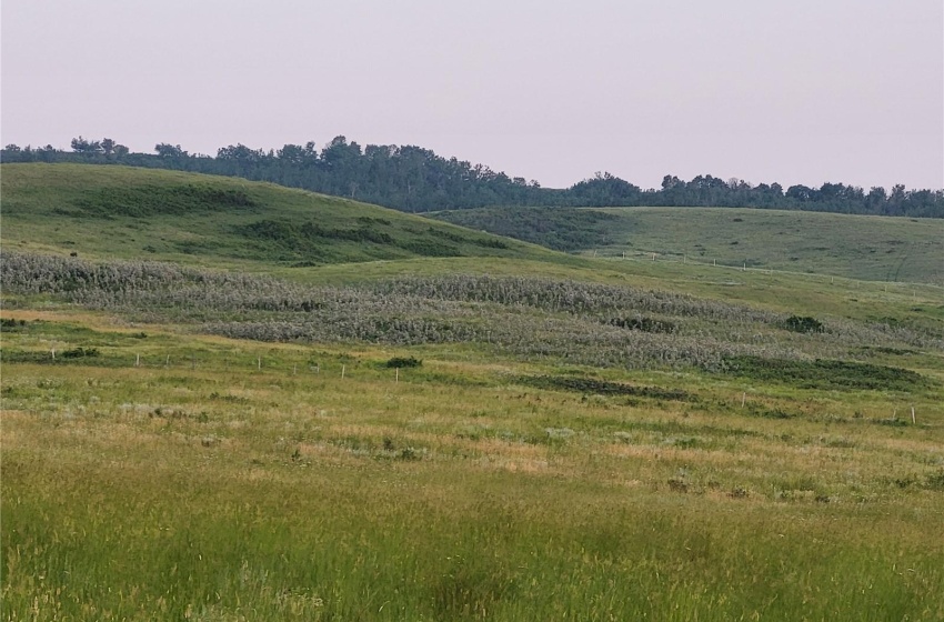 Rural Address, Round Valley Rm No. 410, Saskatchewan S0K 4L0, ,Farm,For Sale,Unity 319 acres Grain and Pastureland,Rural Address,SK992504