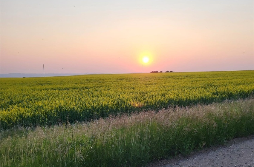 Rural Address, Round Valley Rm No. 410, Saskatchewan S0K 4L0, ,Farm,For Sale,Unity 319 acres Grain and Pastureland,Rural Address,SK992504