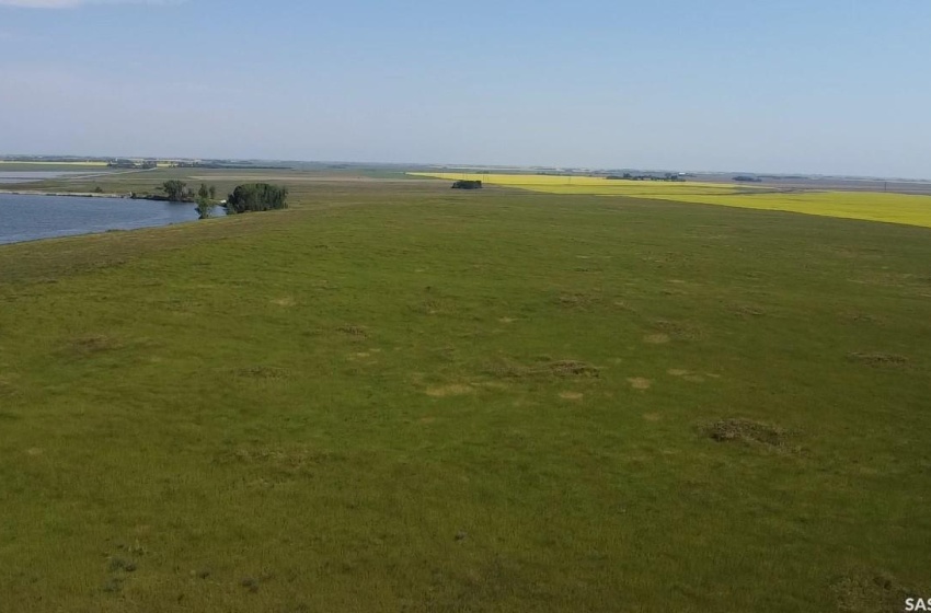 Looking North (Blackstrap Lake)