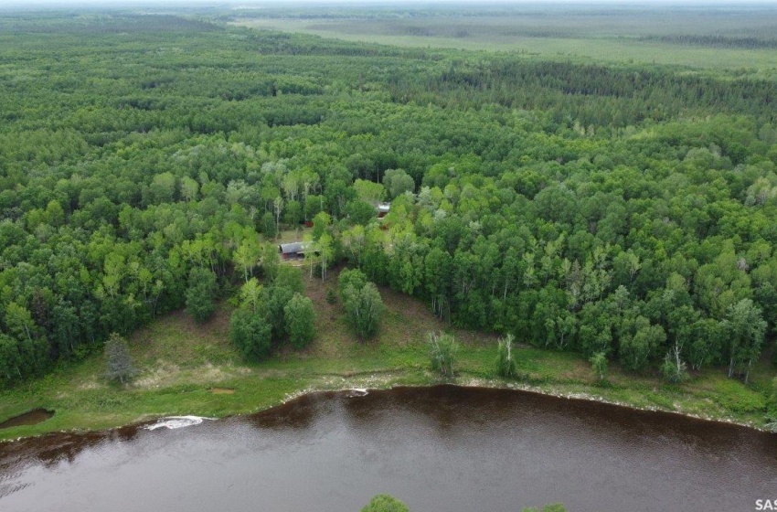 Miles of forest in a Ran area where no more leases are given