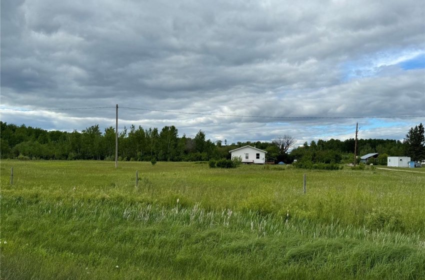 1 George AVENUE, Clemenceau, Saskatchewan S0E 0Y0, 2 Bedrooms Bedrooms, 5 Rooms Rooms,1 BathroomBathrooms,Acreage,For Sale,2.54 acres Clemenceau Main,George,SK974148