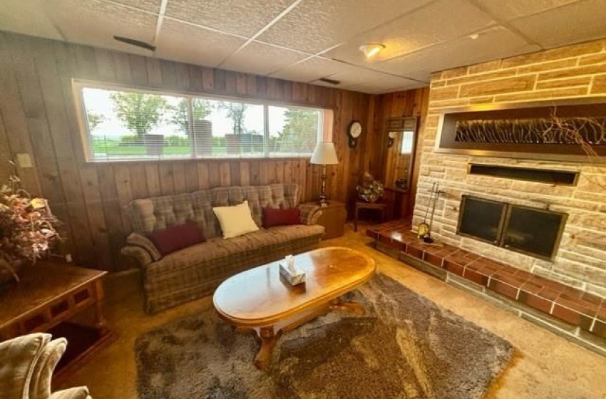 Carpeted living room with a healthy amount of sunlight, a fireplace, and a paneled ceiling