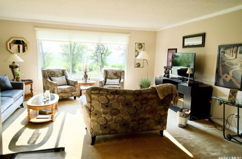 Living room with carpet, ornamental molding, and a textured ceiling