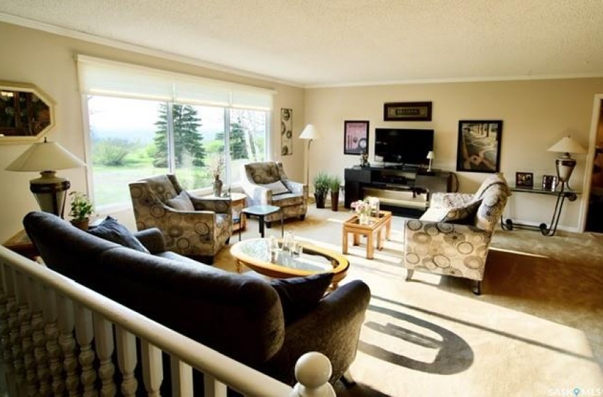 Carpeted living room featuring ornamental molding and a textured ceiling