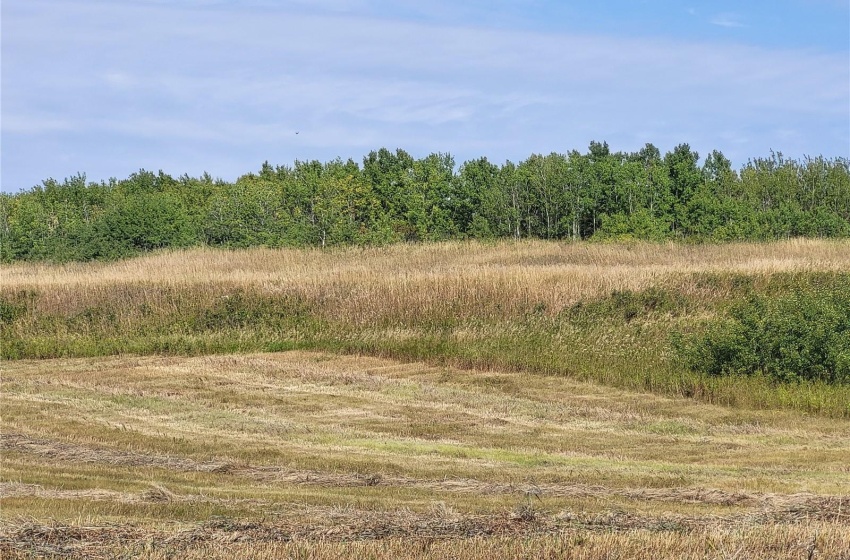 Rural Address, Britannia Rm No. 502, Saskatchewan S0M 1R0, ,Farm,For Sale,Lloydminster 146.4 acres Farmland with Surface Lea,Rural Address,SK993068