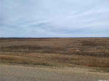 Rural Address, Blaine Lake Rm No. 434, Saskatchewan S0J 0J0, ,Farm,For Sale,Blaine Lake 155 acres Hay and Pastureland,Rural Address,SK993152