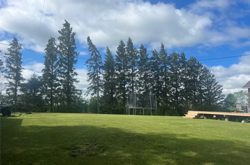 View of yard with a trampoline