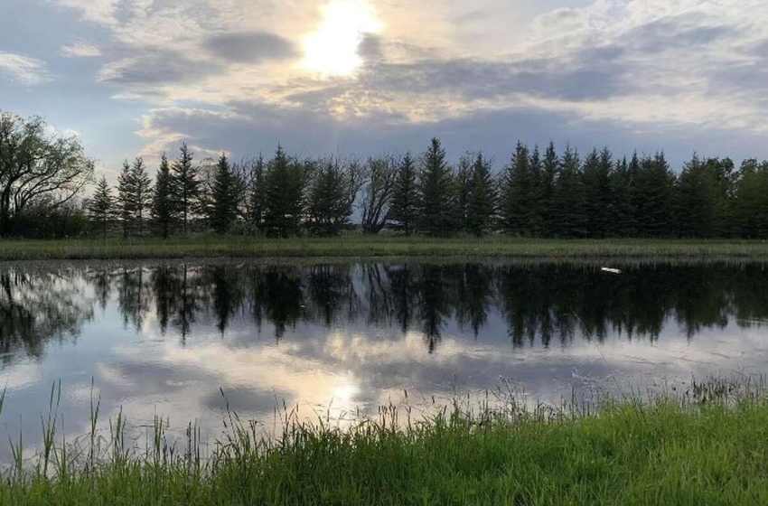 Rural Address, Arborfield Rm No. 456, Saskatchewan S0A 0A0, 5 Bedrooms Bedrooms, 18 Rooms Rooms,4 BathroomsBathrooms,Acreage,For Sale,SE/13/48/12/W2,Rural Address,SK993283