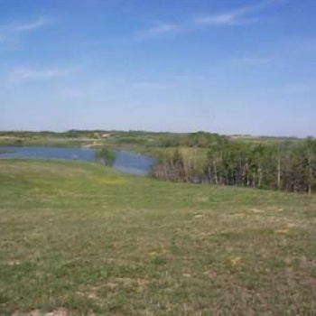 Rural Address, Aberdeen Rm No. 373, Saskatchewan S0K 0A0, ,Farm,For Sale,Drews Road Land,Rural Address,SK980369