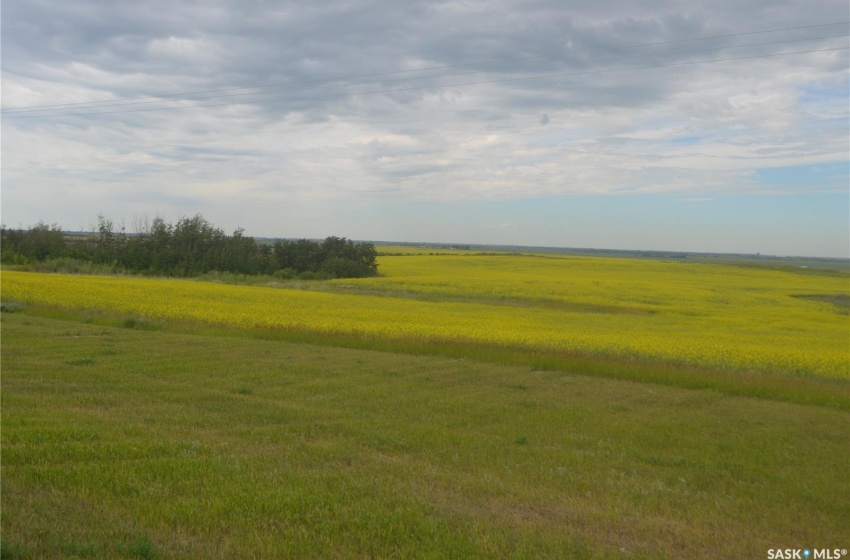 Rural Address, Corman Park Rm No. 344, Saskatchewan S7K 3J9, ,Farm,For Sale,Highway #41 Land,Rural Address,SK980742