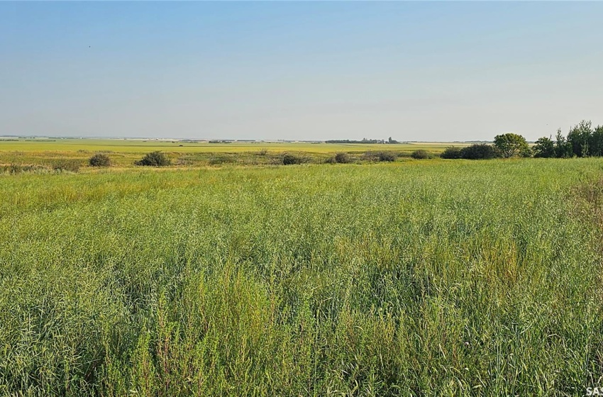 Rural Address, Corman Park Rm No. 344, Saskatchewan S7K 3J9, ,Farm,For Sale,Highway #41 Land,Rural Address,SK980742