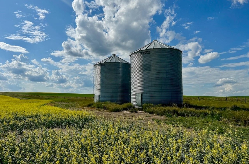 Rural Address, Chesterfield Rm No. 261, Saskatchewan S0L 0A0, ,Farm,For Sale,Mantario 967 Acres Grain Farmland,Rural Address,SK980936