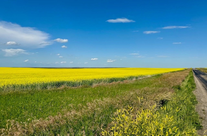 Rural Address, Chesterfield Rm No. 261, Saskatchewan S0L 0A0, ,Farm,For Sale,Mantario 967 Acres Grain Farmland,Rural Address,SK980936