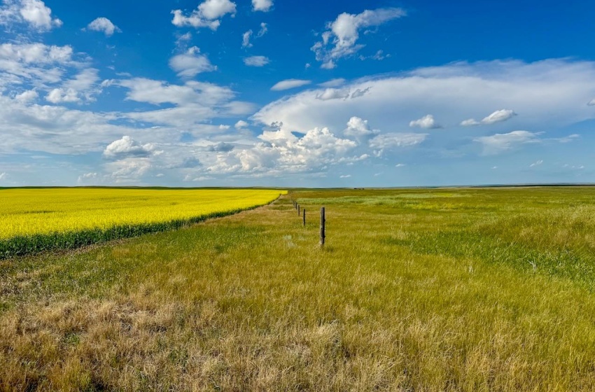 Rural Address, Chesterfield Rm No. 261, Saskatchewan S0L 0A0, ,Farm,For Sale,Mantario 967 Acres Grain Farmland,Rural Address,SK980936