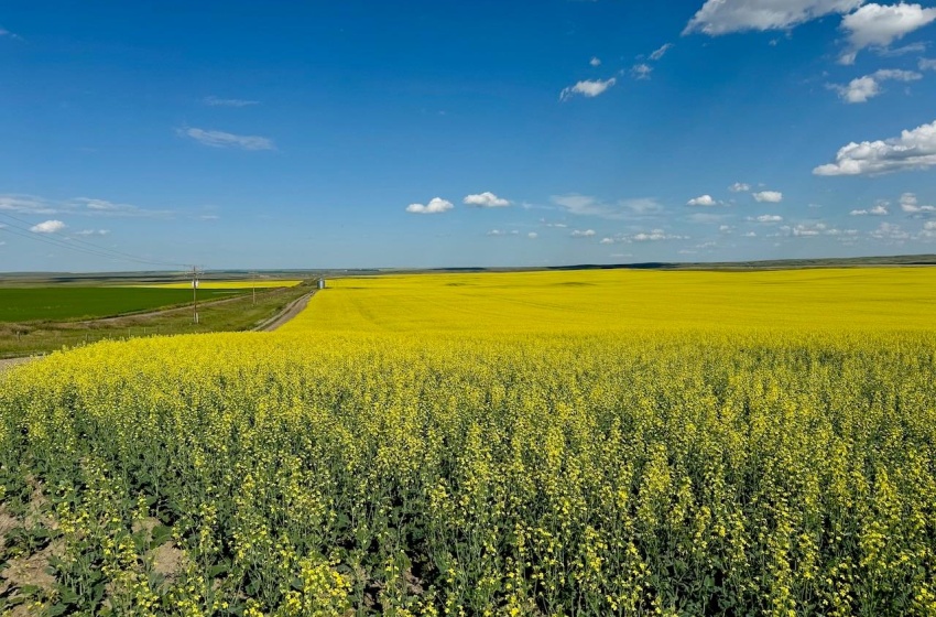 Rural Address, Chesterfield Rm No. 261, Saskatchewan S0L 0A0, ,Farm,For Sale,Mantario 967 Acres Grain Farmland,Rural Address,SK980936