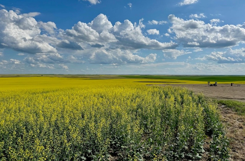 Rural Address, Chesterfield Rm No. 261, Saskatchewan S0L 0A0, ,Farm,For Sale,Mantario 967 Acres Grain Farmland,Rural Address,SK980936