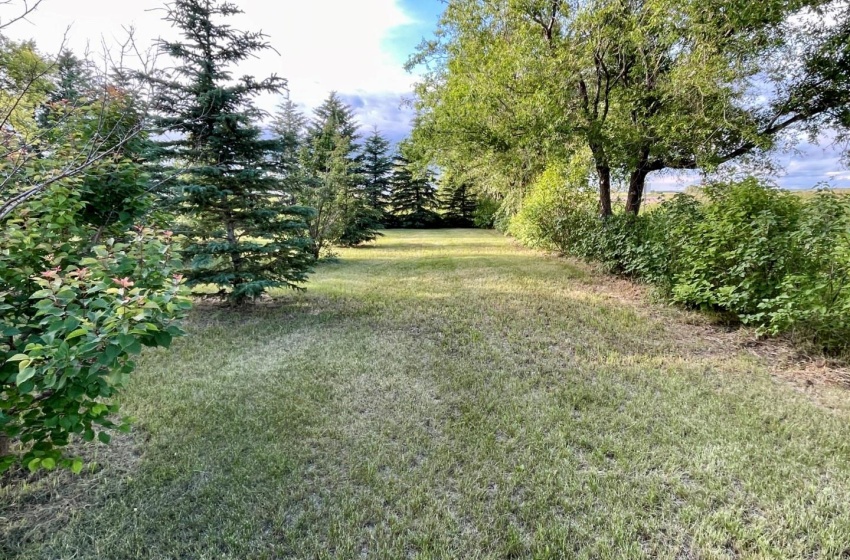 Rural Address, Biggar Rm No. 347, Saskatchewan S0K 0M0, 4 Bedrooms Bedrooms, 14 Rooms Rooms,2 BathroomsBathrooms,Acreage,For Sale,RM of Biggar Acreage - 1.84 Acres (Prebushewski),Rural Address,SK976775