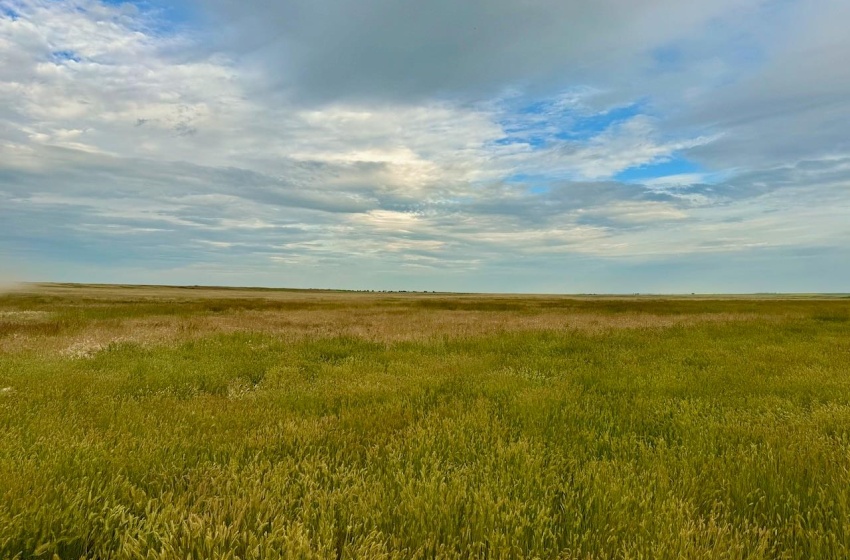 Rural Address, Eyebrow Rm No. 193, Saskatchewan S0H 0M0, ,Farm,For Sale,Brownlee 960.6 acres Hay and Pastureland,Rural Address,SK981073