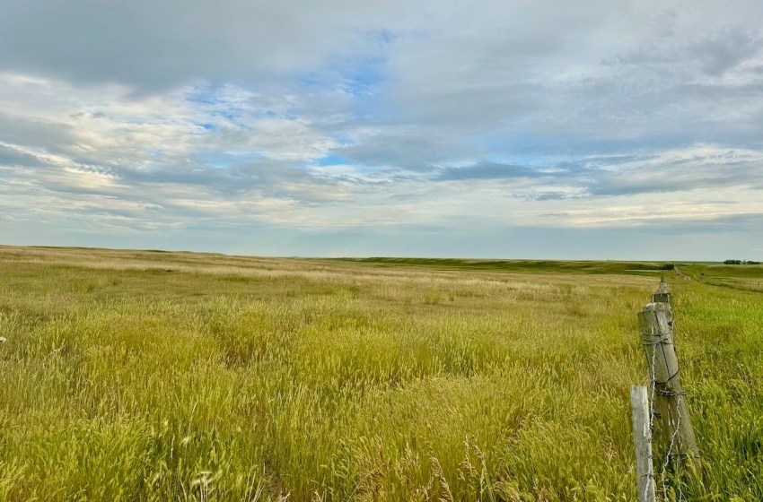 Rural Address, Eyebrow Rm No. 193, Saskatchewan S0H 0M0, ,Farm,For Sale,Brownlee 960.6 acres Hay and Pastureland,Rural Address,SK981073