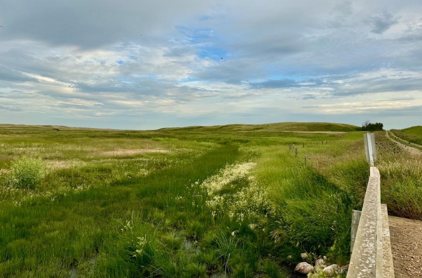 Rural Address, Eyebrow Rm No. 193, Saskatchewan S0H 0M0, ,Farm,For Sale,Brownlee 960.6 acres Hay and Pastureland,Rural Address,SK981073