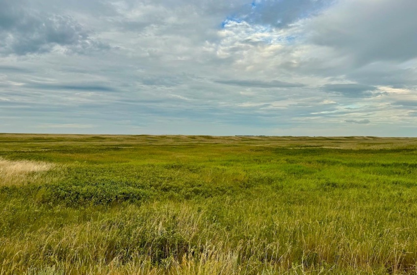 Rural Address, Eyebrow Rm No. 193, Saskatchewan S0H 0M0, ,Farm,For Sale,Brownlee 960.6 acres Hay and Pastureland,Rural Address,SK981073