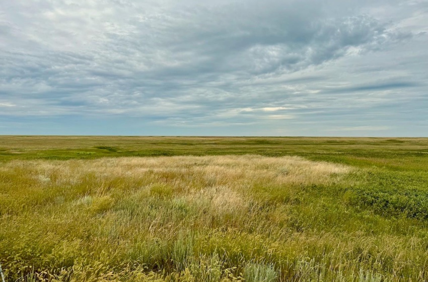 Rural Address, Eyebrow Rm No. 193, Saskatchewan S0H 0M0, ,Farm,For Sale,Brownlee 960.6 acres Hay and Pastureland,Rural Address,SK981073