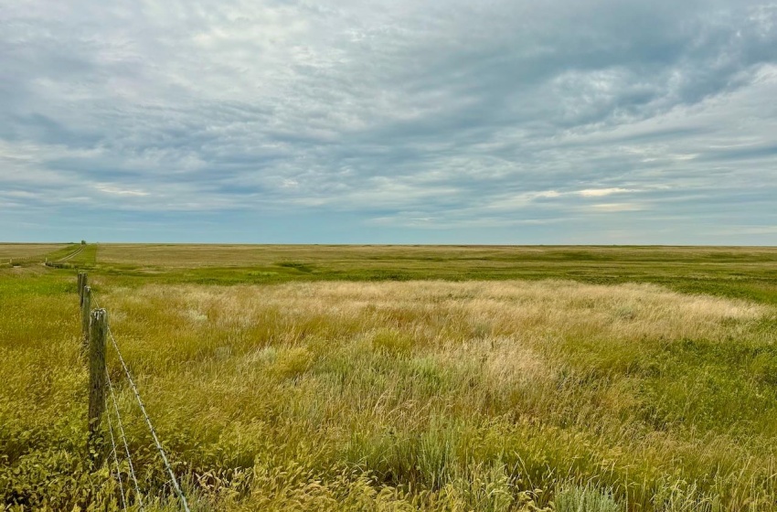 Rural Address, Eyebrow Rm No. 193, Saskatchewan S0H 0M0, ,Farm,For Sale,Brownlee 960.6 acres Hay and Pastureland,Rural Address,SK981073