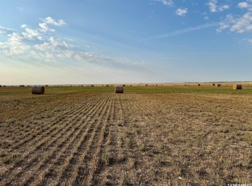 Rural Address, Eyebrow Rm No. 193, Saskatchewan S0H 0M0, ,Farm,For Sale,Brownlee 960.6 acres Hay and Pastureland,Rural Address,SK981073