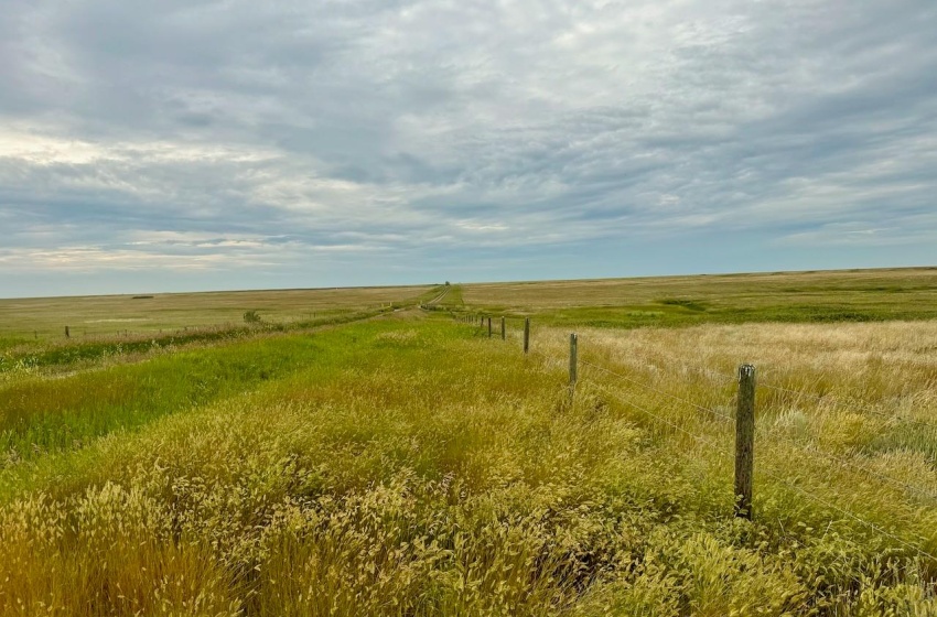 Rural Address, Eyebrow Rm No. 193, Saskatchewan S0H 0M0, ,Farm,For Sale,Brownlee 960.6 acres Hay and Pastureland,Rural Address,SK981073