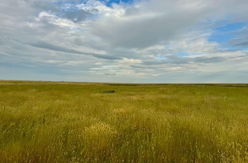 Rural Address, Eyebrow Rm No. 193, Saskatchewan S0H 0M0, ,Farm,For Sale,Brownlee 960.6 acres Hay and Pastureland,Rural Address,SK981073