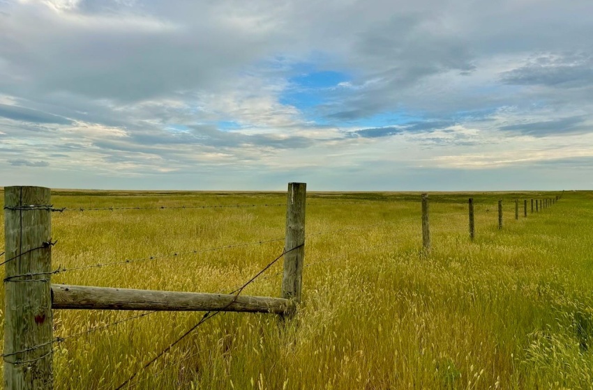 Rural Address, Eyebrow Rm No. 193, Saskatchewan S0H 0M0, ,Farm,For Sale,Brownlee 960.6 acres Hay and Pastureland,Rural Address,SK981073