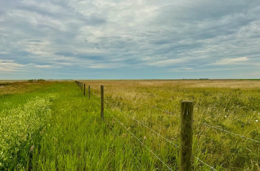 Rural Address, Eyebrow Rm No. 193, Saskatchewan S0H 0M0, ,Farm,For Sale,Brownlee 960.6 acres Hay and Pastureland,Rural Address,SK981073