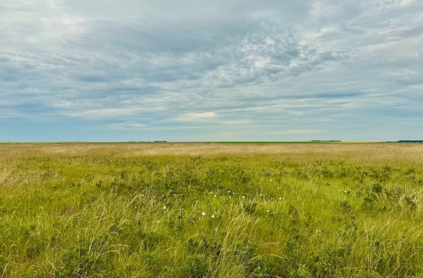 Rural Address, Eyebrow Rm No. 193, Saskatchewan S0H 0M0, ,Farm,For Sale,Brownlee 960.6 acres Hay and Pastureland,Rural Address,SK981073