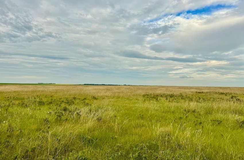 Rural Address, Eyebrow Rm No. 193, Saskatchewan S0H 0M0, ,Farm,For Sale,Brownlee 960.6 acres Hay and Pastureland,Rural Address,SK981073