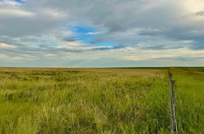 Rural Address, Eyebrow Rm No. 193, Saskatchewan S0H 0M0, ,Farm,For Sale,Brownlee 960.6 acres Hay and Pastureland,Rural Address,SK981073